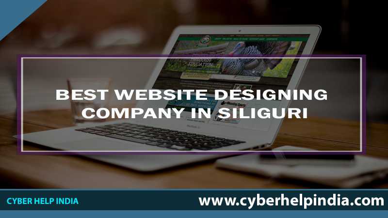 Website Designing Company in Siliguri