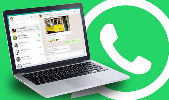 How to use WhatsApp on Windows