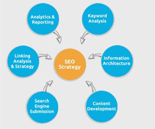SEO Plan What and How?