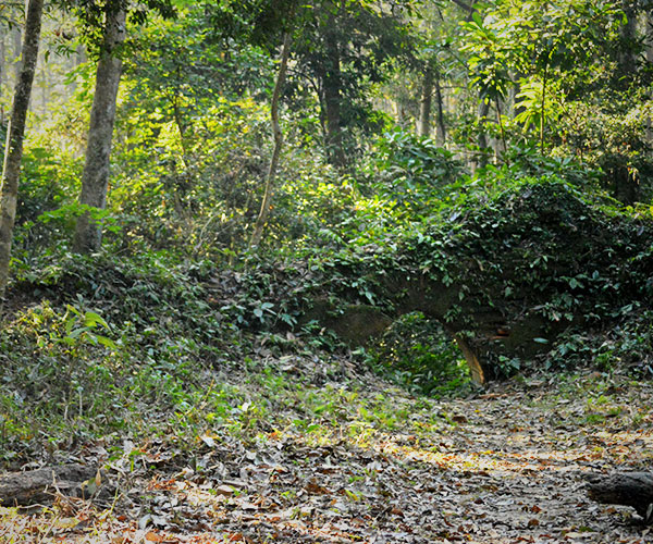 Wreckage of Nal Raj