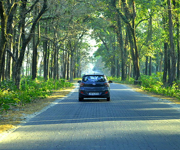 Way to Sikiajhora