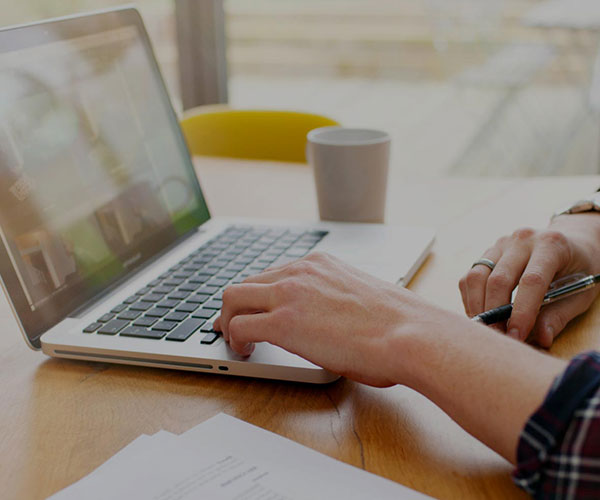Who Can Do Web Designing