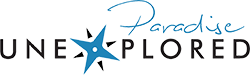 Paradise Unexplored Logo