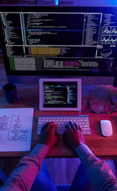 Websecurity and vulnerability